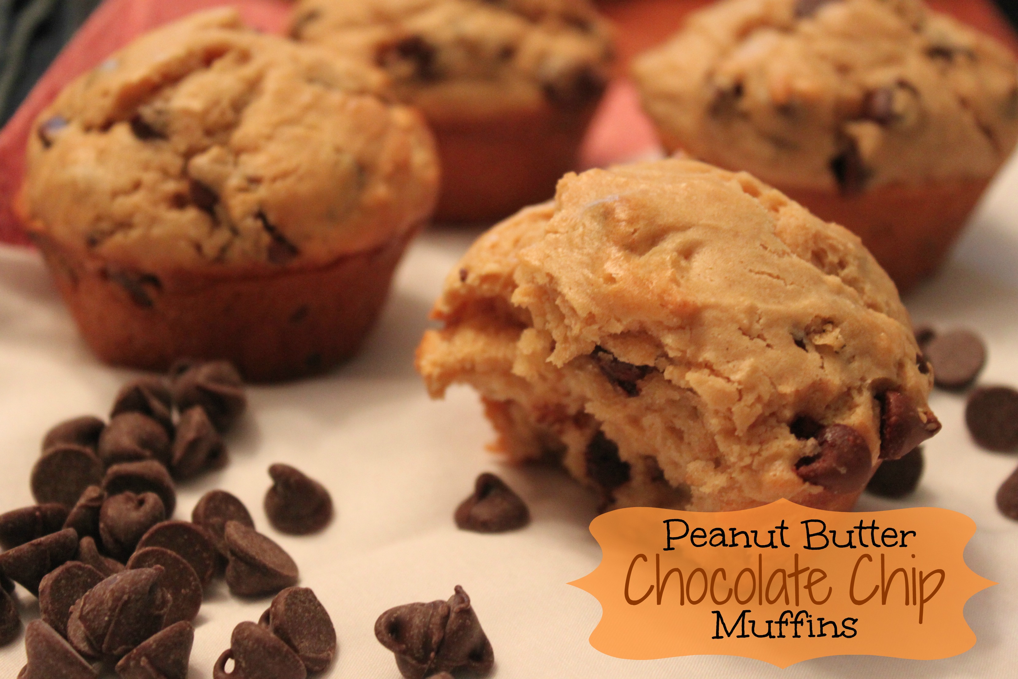 Chocolate Chip Peanut Butter Muffins | Kathy's Kitchen Table